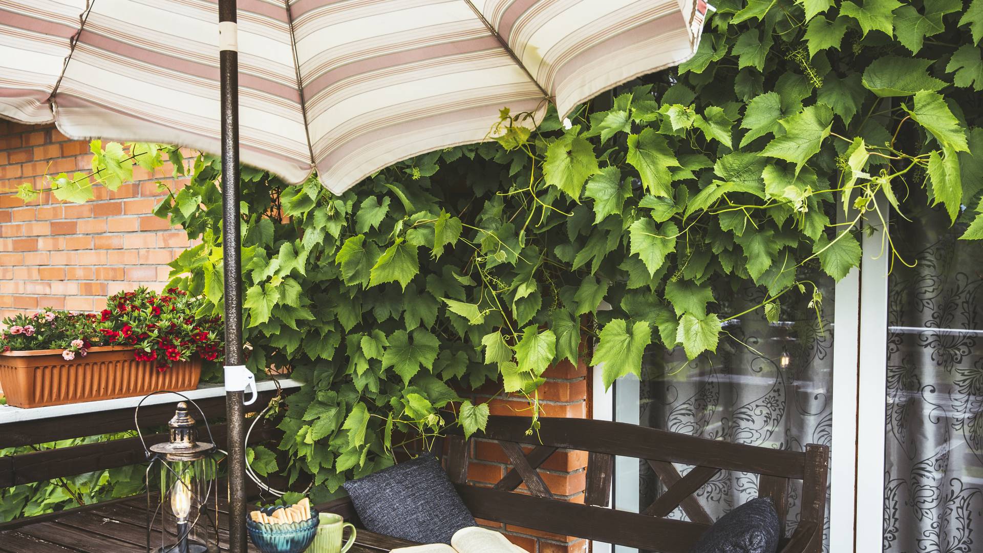 Parasole balkonowe i ogrodowe — ochronią przed słońcem i deszczem