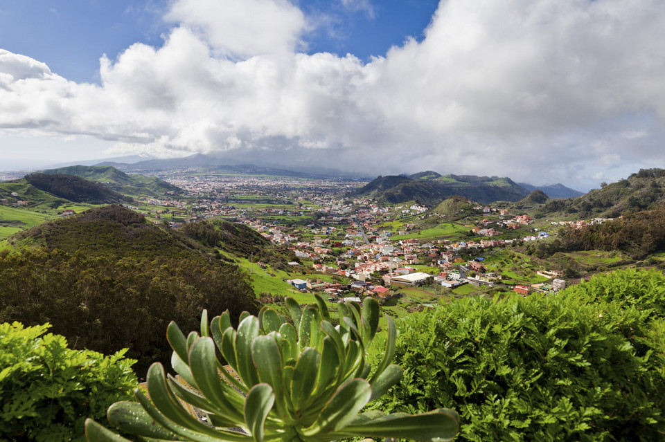 Teneryfa, San Cristobal de La Laguna