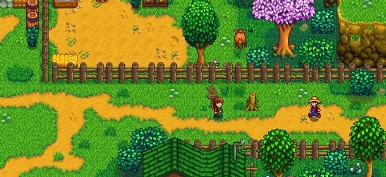 Stardew Valley z problemami technicznymi na PS4 Pro