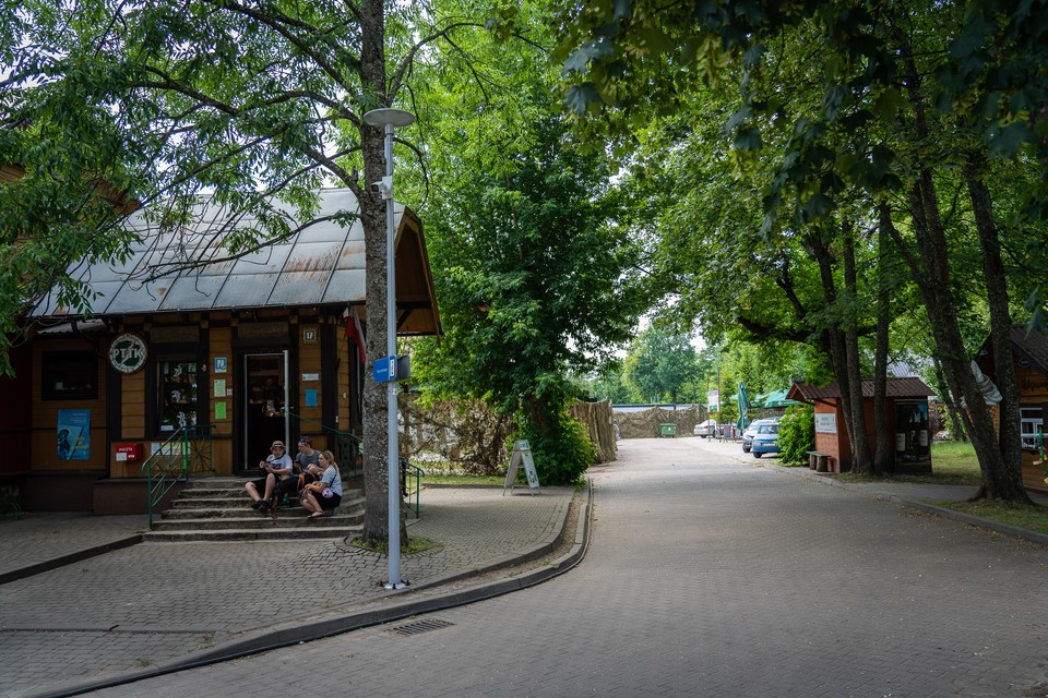 Białowieża