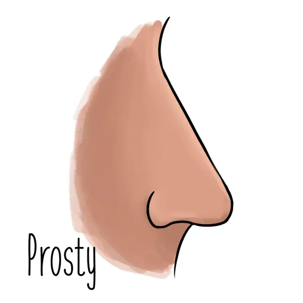 2-prosty