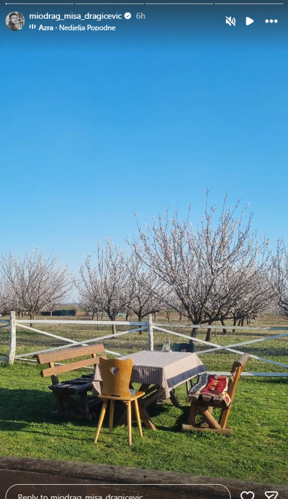 Miodrag Dragičević objava