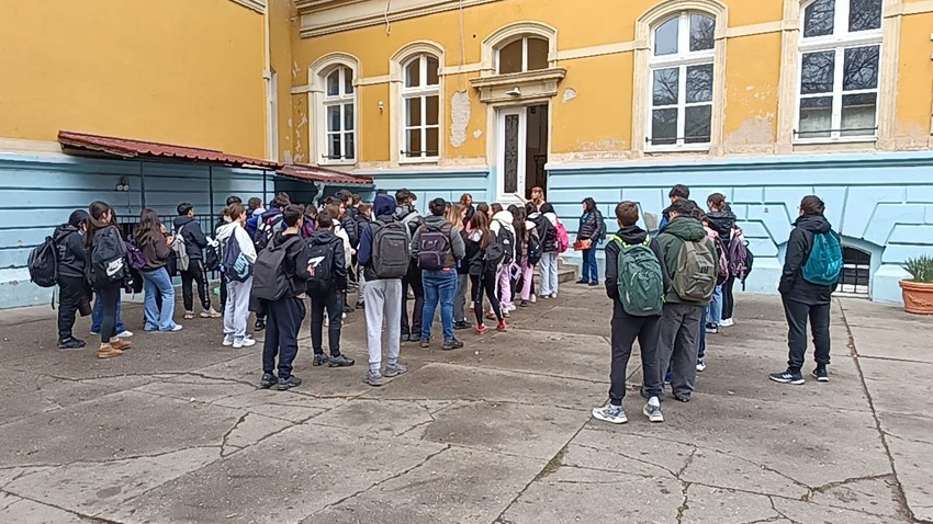 Proba male mature u Subotici