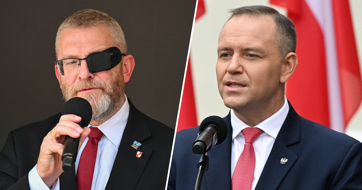 Co ujawniają taśmy Grzegorza Brauna? "Prezydent ma, jak widać, bardzo grubą skórę"