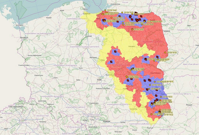 Mapa obszarów dotkniętych ASF, https://www.wetgiw.gov.pl