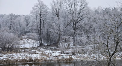 Płynie arktyczne powietrze. Tydzień zaczyna się od mrozu. Prognoza IMGW na 7 dni