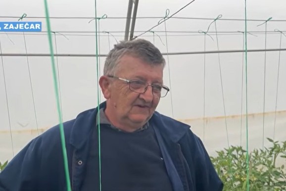 Domaćin Jordan iz Zaječara sam napravio solarni sistem na njivi: Ima 10 plastenika, radi samo sa suprugom od 5 ujutru, a evo kolika mu je dnevna ušteda (VIDEO)