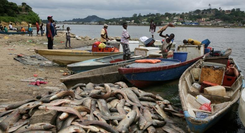 A young fisherman lands his catch at Lambarene