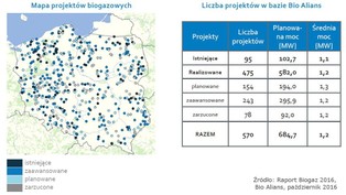 Ofensywa OZE: Rząd chce podwoić moc biogazowni rolniczych