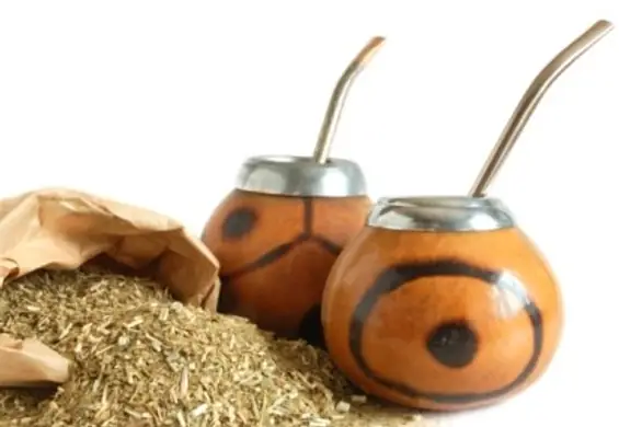 Yerba mate - właściwości południowoamerykańskiej herbaty