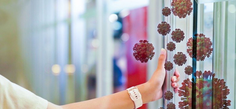 Kontakt z łagodnymi koronawirusami buduje odporność na SARS-CoV-2