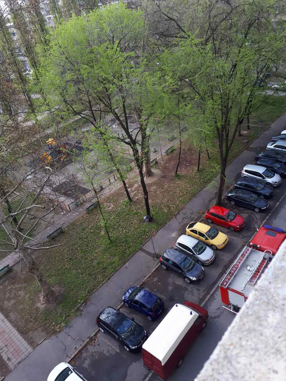 Drama na Novom Beogradu uznemirila je ceo komšiluk