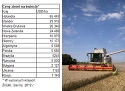 Globalny boom na ziemię rolną to okazja na solidny zarobek