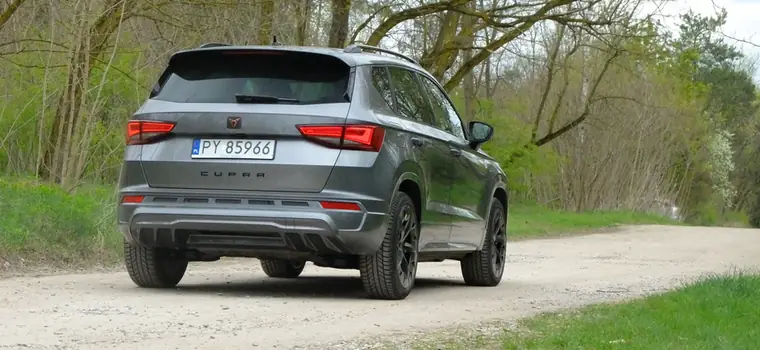 SUV średniej wielkości, ale na bogato. Sprawdziłem, czy 190-konna Cupra Ateca jest tak drapieżna, jak mówią