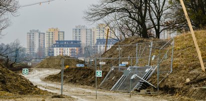 Wycinają drzewa na Wilczych Dołach. - To barbarzyństwo przyrody - mówią ludzie