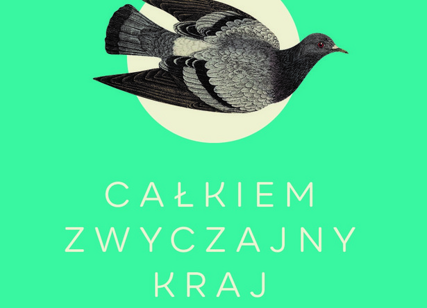 Całkiem zwyczajny kraj. Historia Polski bez martyrologii, Brian Porter- Szűcs