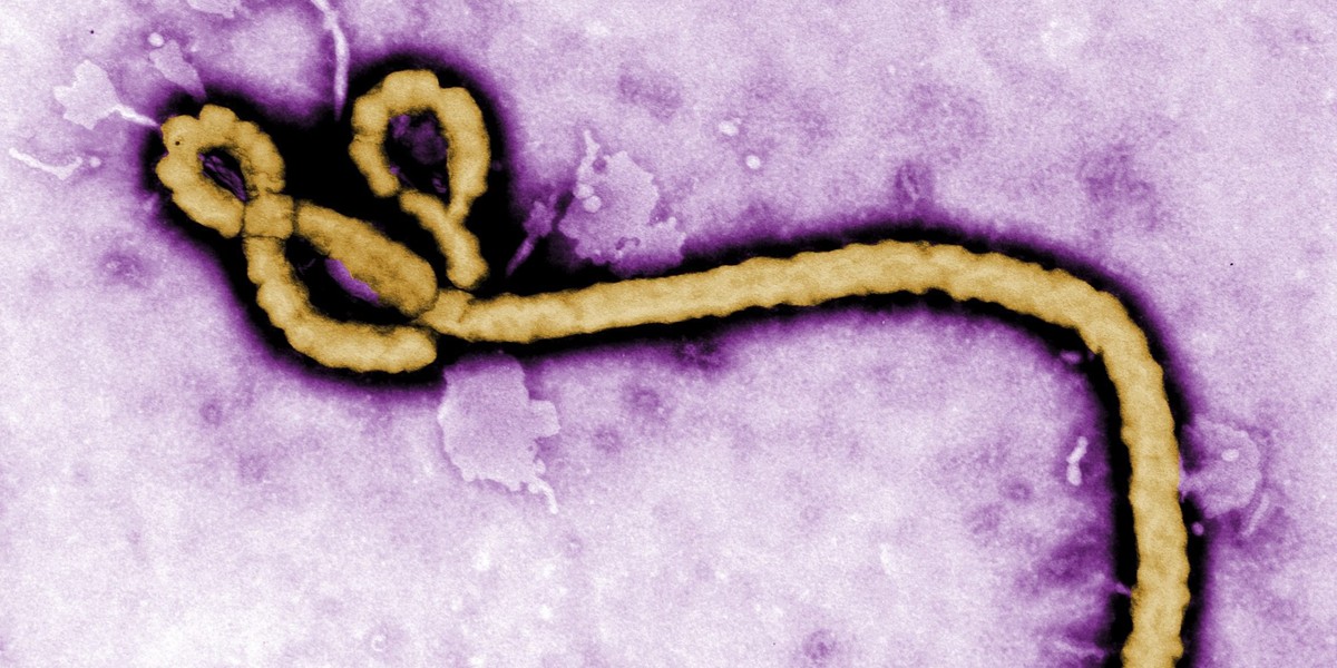 Wirus Ebola