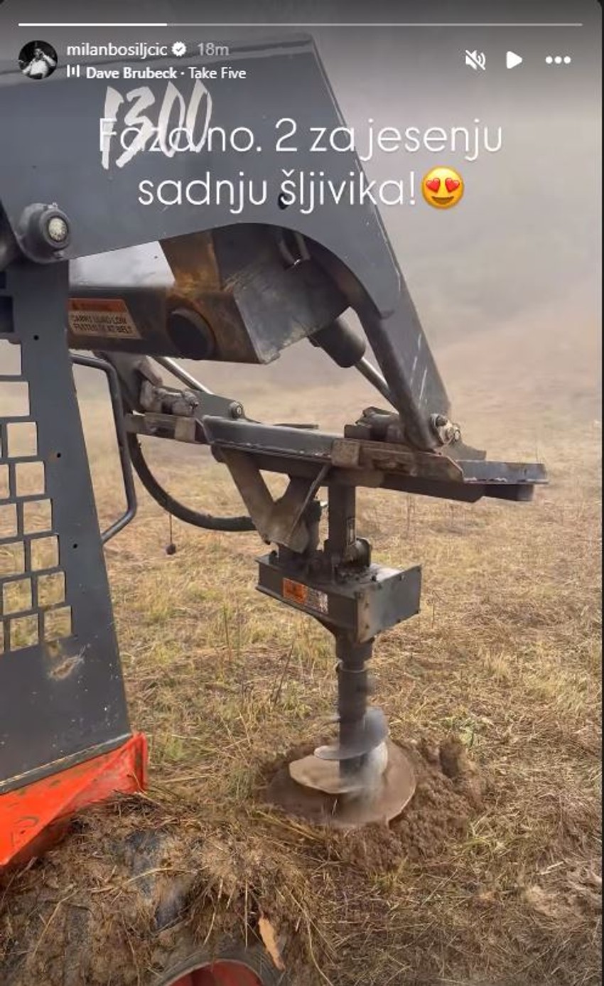 Milan Bosiljčić sadi šljive na imanju
