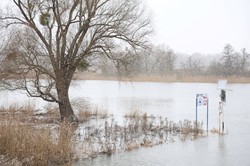 Jest kolejny rekord. Tegoroczny styczeń był najcieplejszym w historii