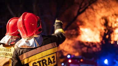 Dramatyczny pożar chlewni koło Chojny. Zginęło kilkaset zwierząt