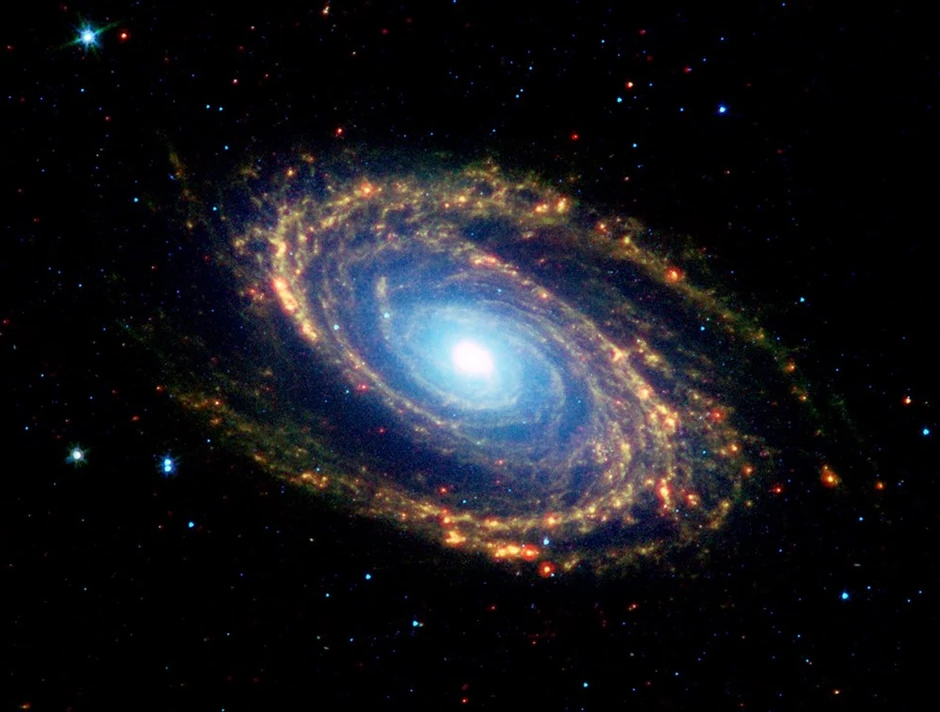 Spiralna galaksija M81