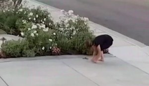 Zmija ujela ženu dok je sređivala dvorište 