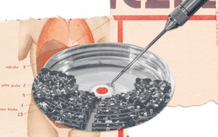 Kto urodzi dziecko z moich zarodków? [WYWIAD]