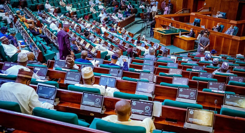 Nigerian lawmakers propose a 6-year presidential term and two vice president positions