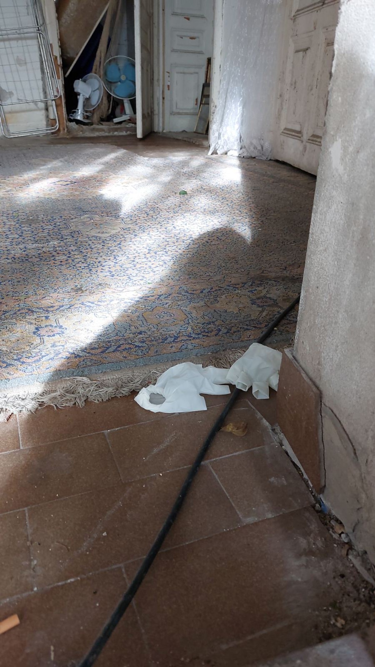Prve slike sa mesta ubistva u Novom Sadu