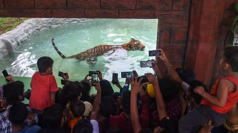 Bacanje smeća u zoološkom vrtu je krivično delo | Foto: AFP