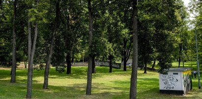 Park Bogucki wypięknieje