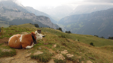 Historia i przyroda, czyli 3 dni w Szwajcarii
