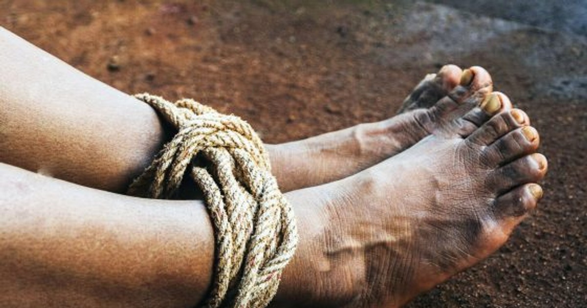 Kidnappers used poisonous snakes to terrorise us – Victims - Vimarsana News