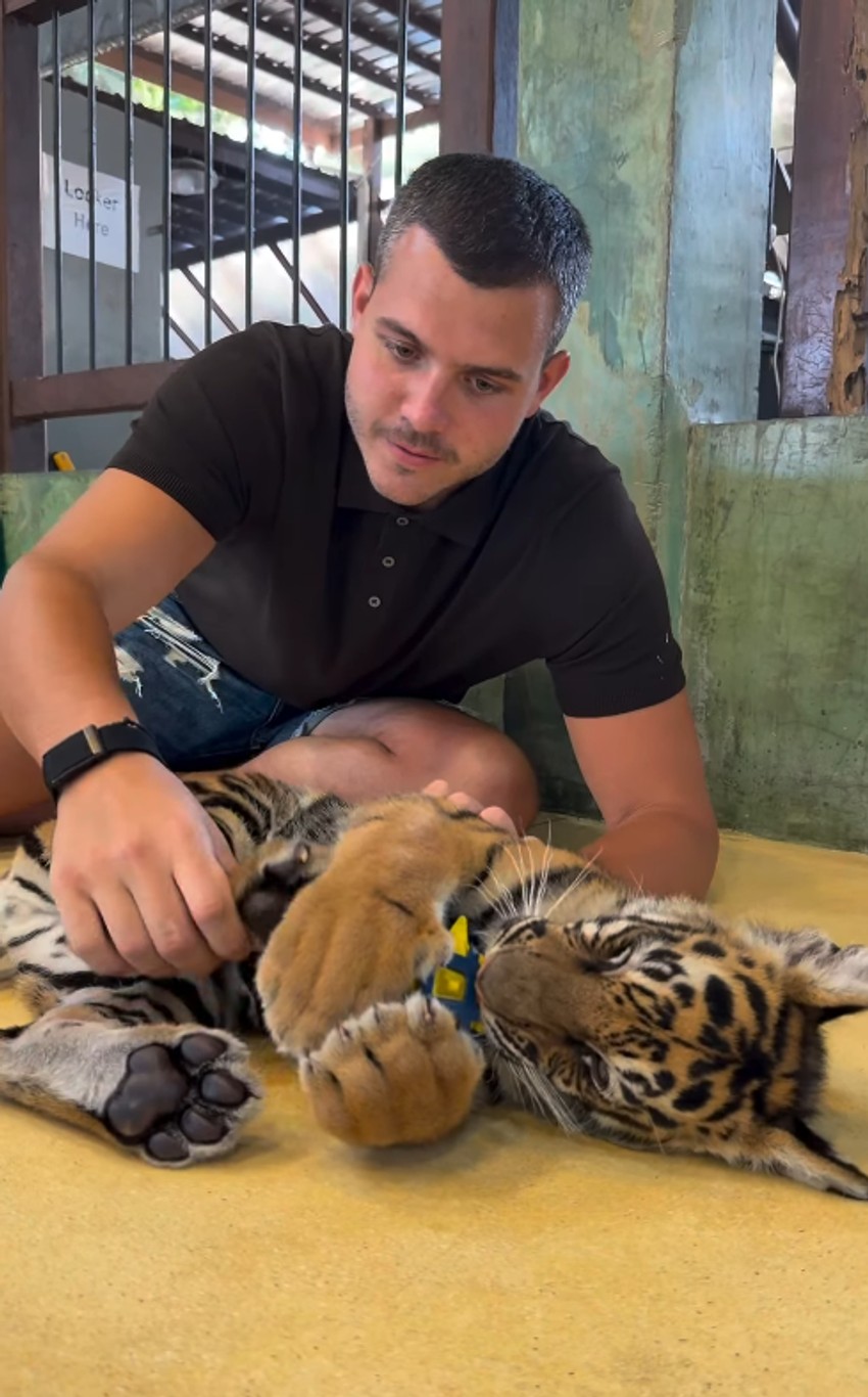 Viktor Živojinović se igra sa tigrom