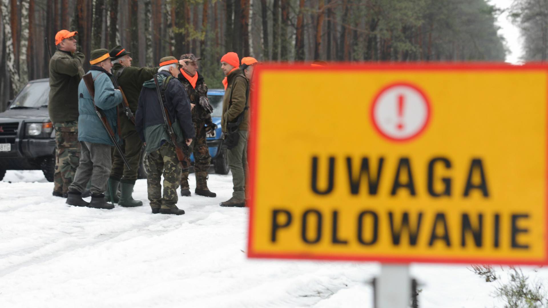 Myśliwi chcą polować przy granicy polsko-białoruskiej."Tam wszędzie mogą być migranci"