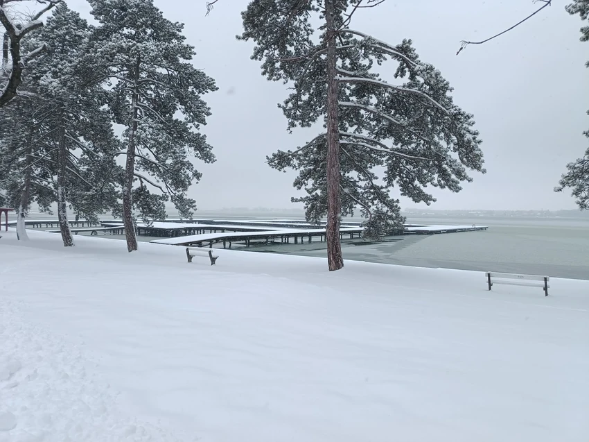 Palićko jezero zaledilo pri obali