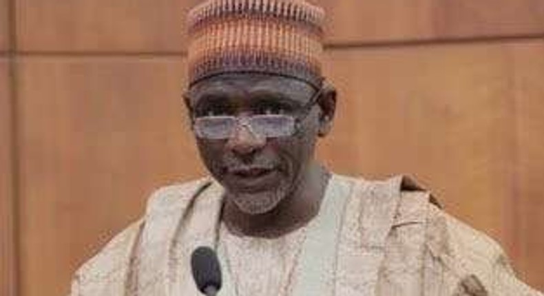 Adamu Adamu, Minister of Education