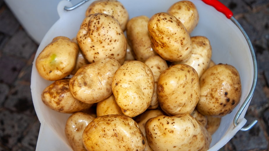 Czy ziemniaki są zdrowe?