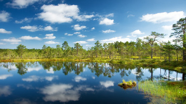 Park Narodowy Lahemaa - dziewicze lasy, mokradła i zabytki historii