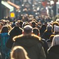 Europejski rynek pracy w dobrej formie. Od Polski lepsze są tylko Czechy