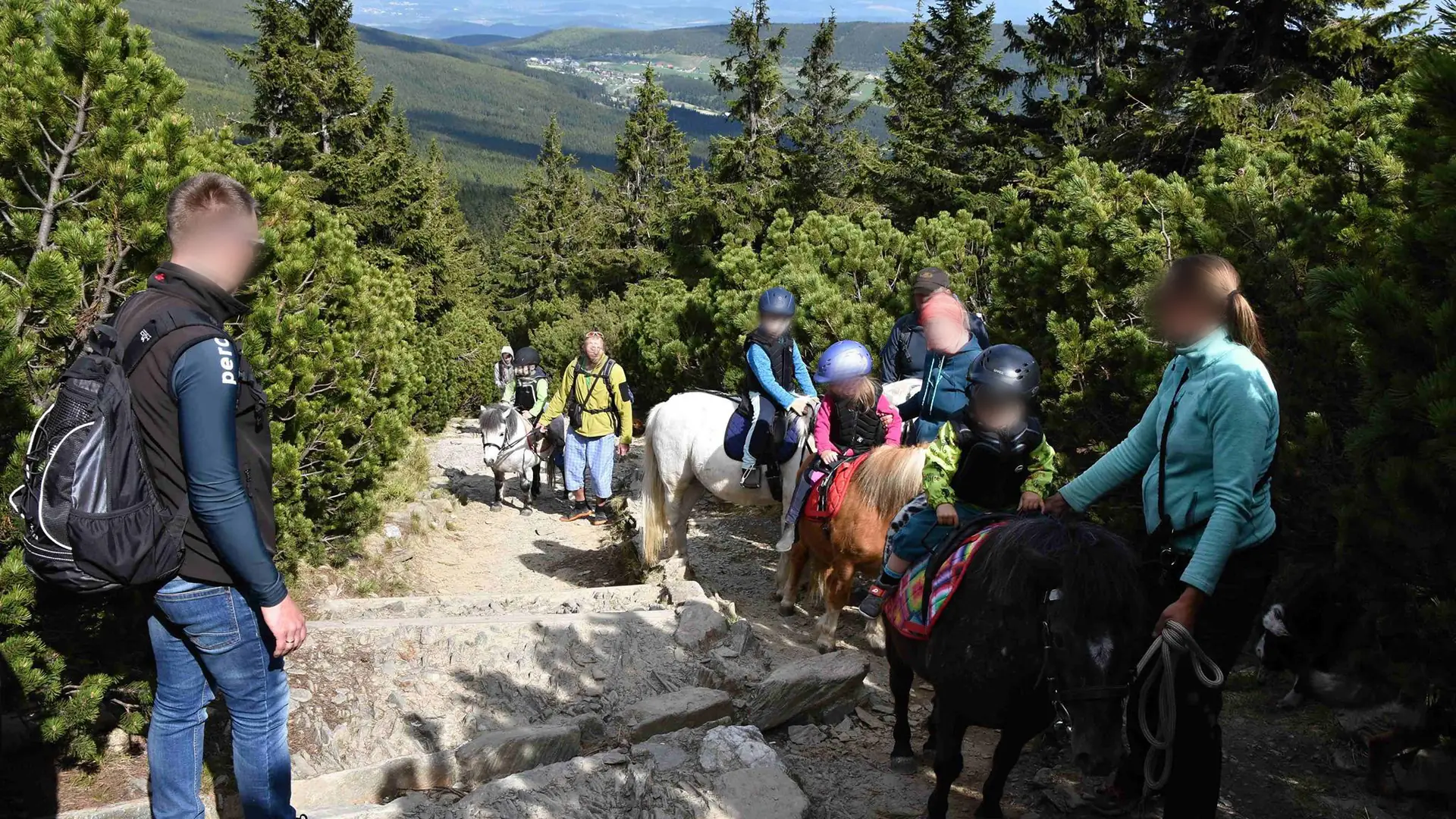 Rodzice z dziećmi na kucykach wchodzą na szczyt Śnieżki