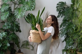 Kada treba UNETI BILJKE da prežive zimu: Držite se PRAVILA 50 DANA, pogotovo ako je reč o SOBNOM CVEĆU