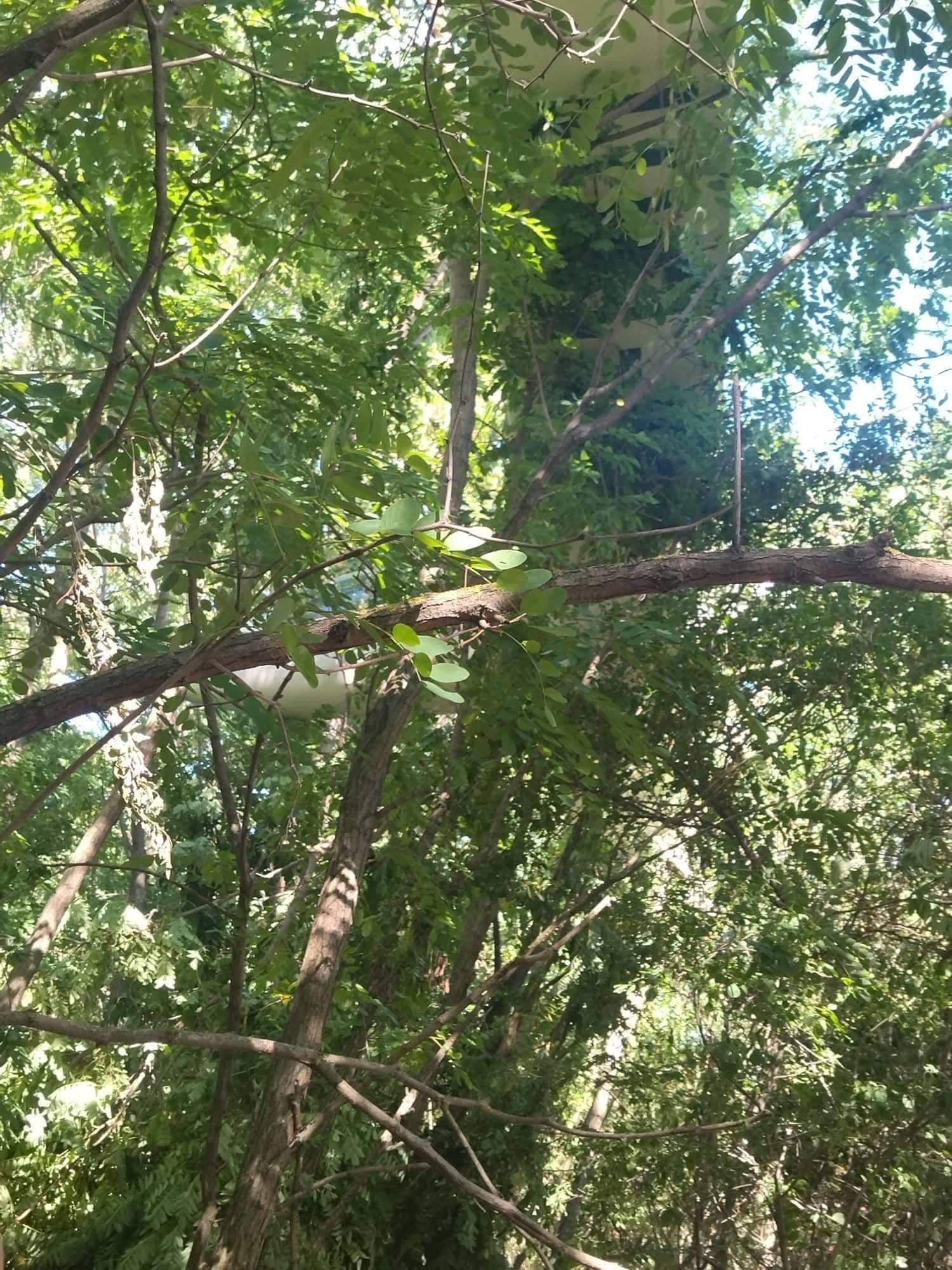 Pilot vetroňa nezvládol riadenie, pristál v korunách stromov.