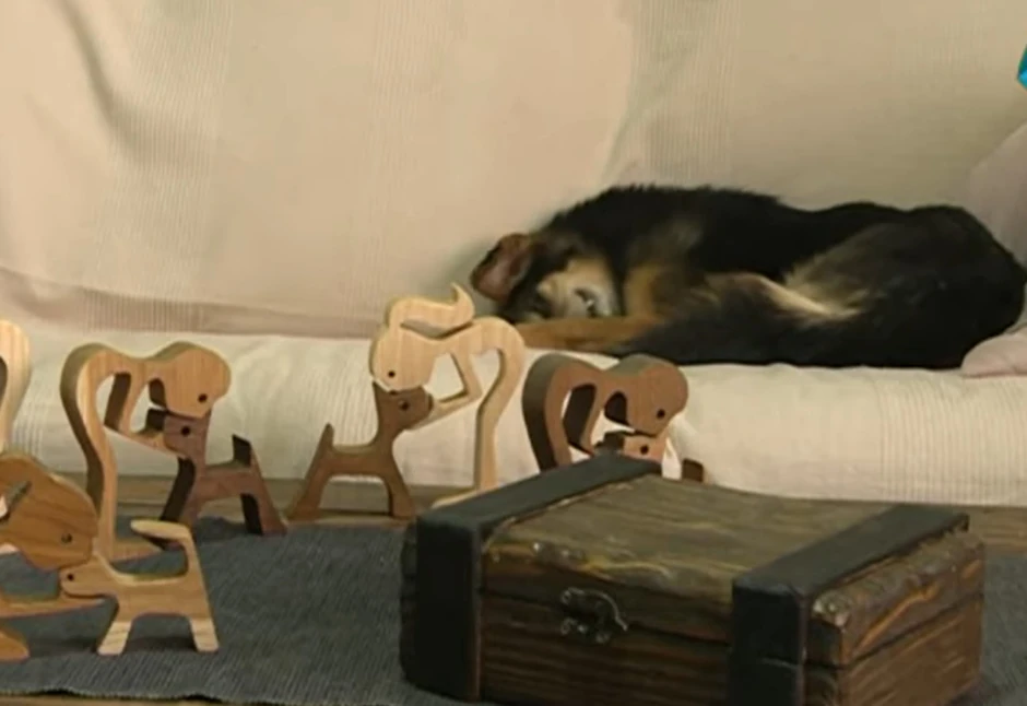 Željko pravi drvene figure i prodaje ih kako bi malo olakšao finansijsku situaciju