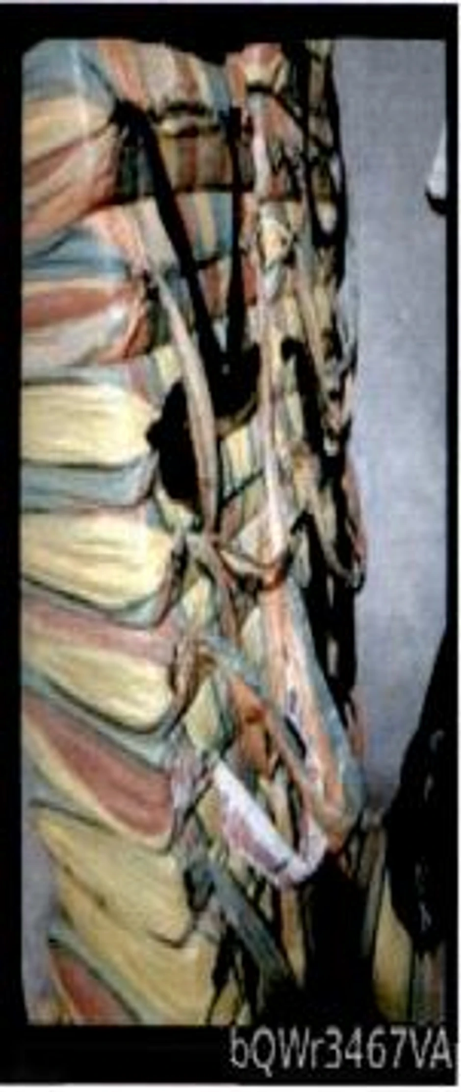 Zabranjeno preuzimanje fotografije bez dozvole redakcije "Blic"