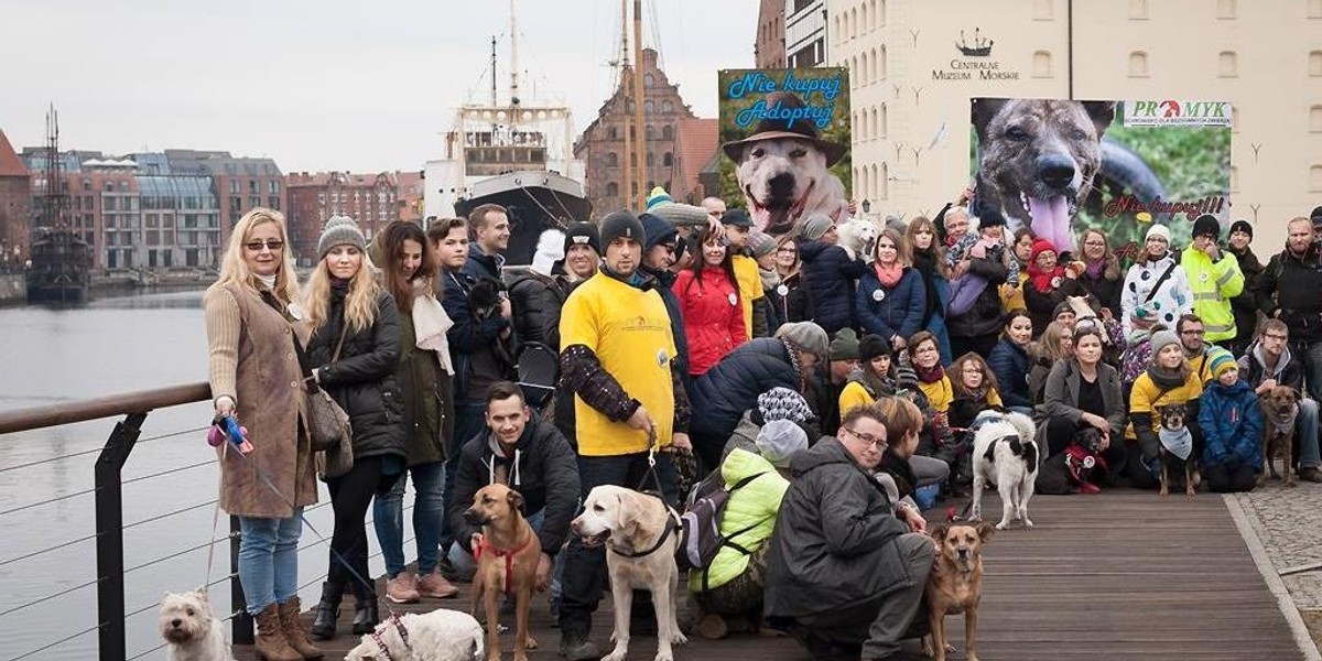 Akcja „Tropem Nowego Domu"