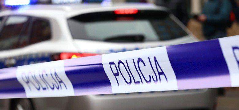 Wpadli na gorącym uczynku. Policja zlikwidowała "dziuplę", samochody odzyskano