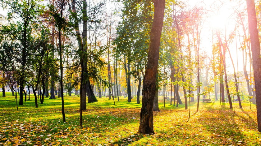 Prognoza pogody na wtorek 14 września