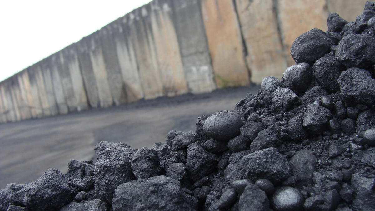 Początek 2016 roku przyniósł dalsze spadki cen węgla we wszystkich międzynarodowych terminalach węglowych; światowy rynek tego surowca wciąż jest w stanie głębokiej recesji – wynika z opracowania katowickiego oddziału Agencji Rozwoju Przemysłu (ARP).