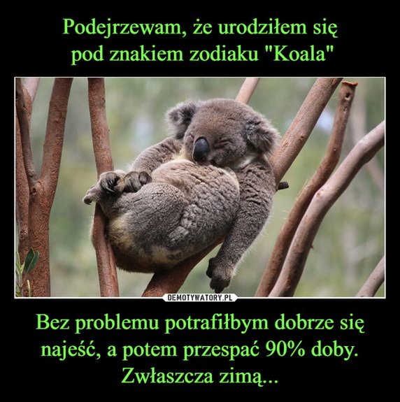 Światowy Dzień Snu. Te memy to samo życie